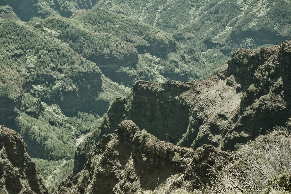 Waimea Canyon