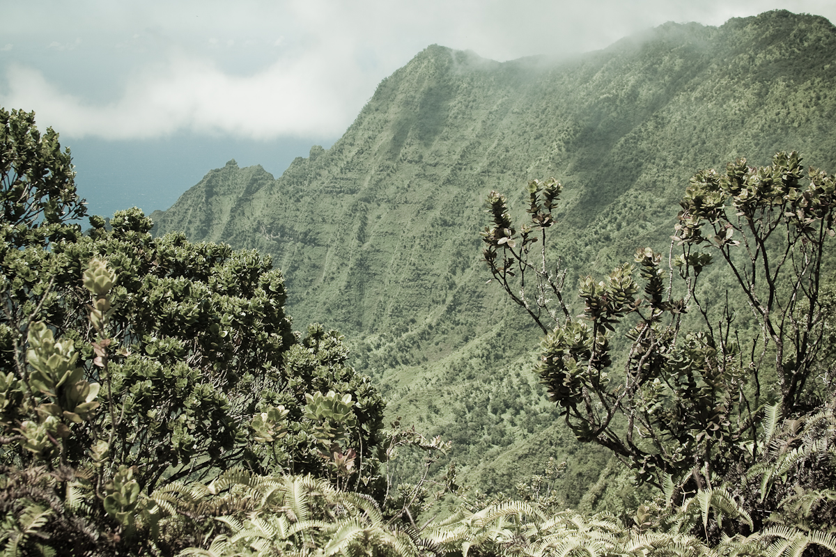 Pihea Trail