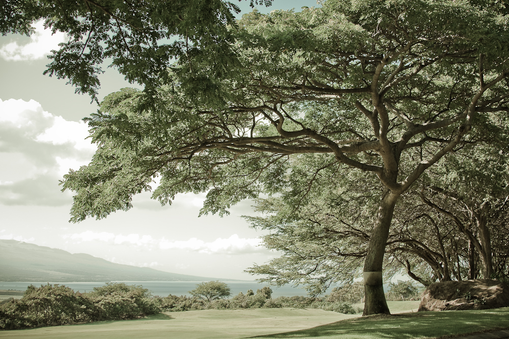 Kahili Golf Course