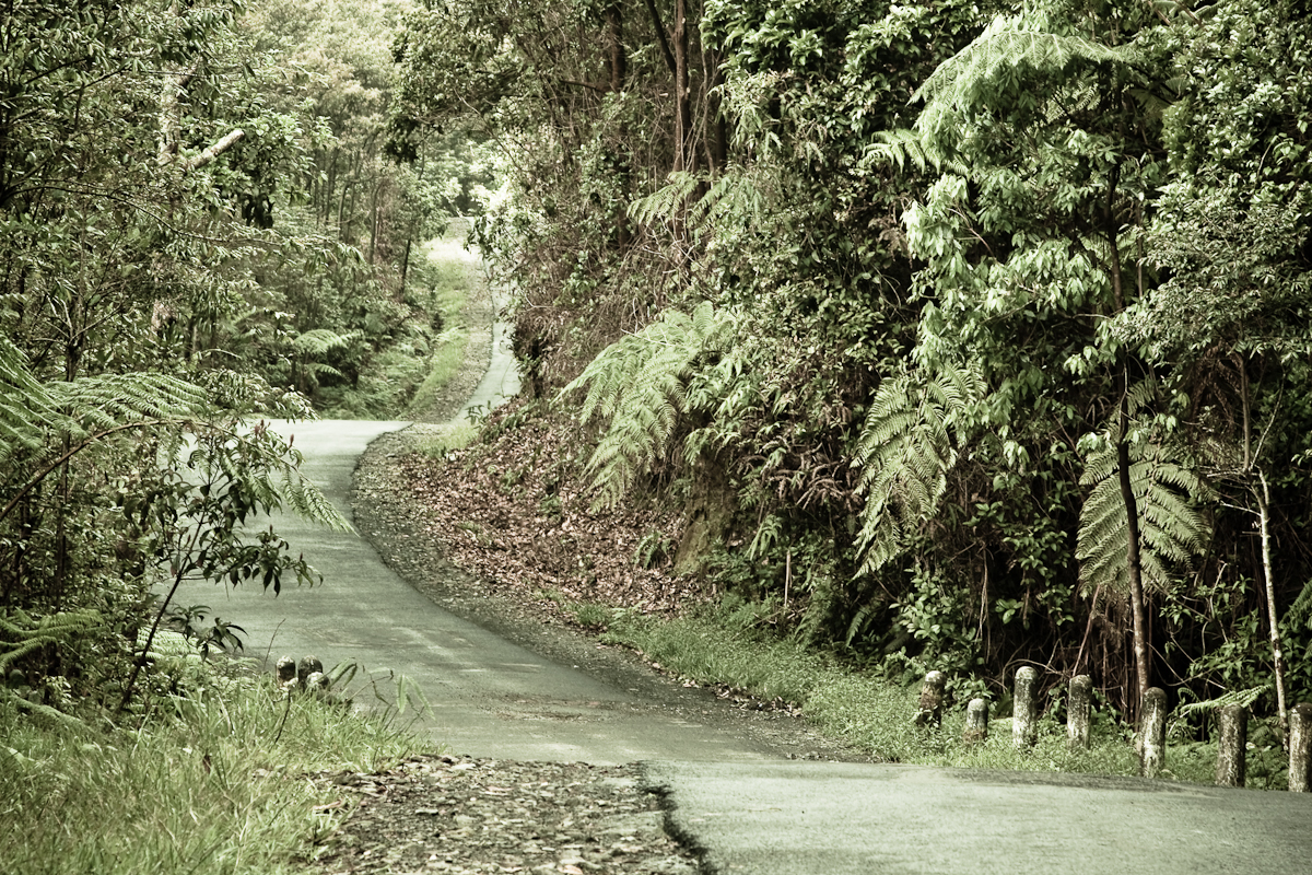 Mount Patuha