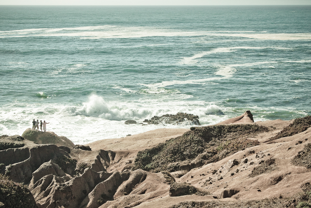 Bodega Head